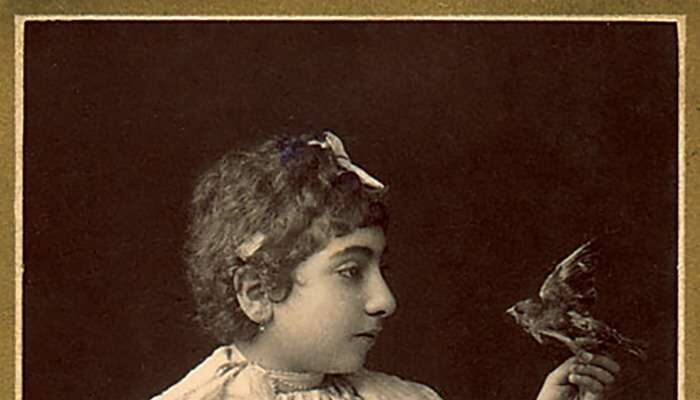 Abdullah Biraderler Kimdir